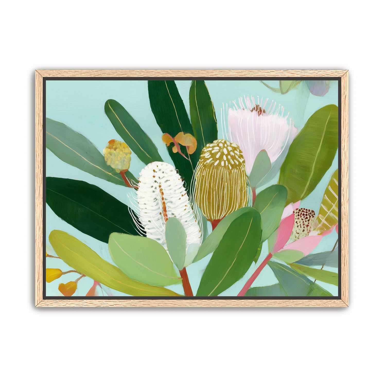 Australian Flora 8