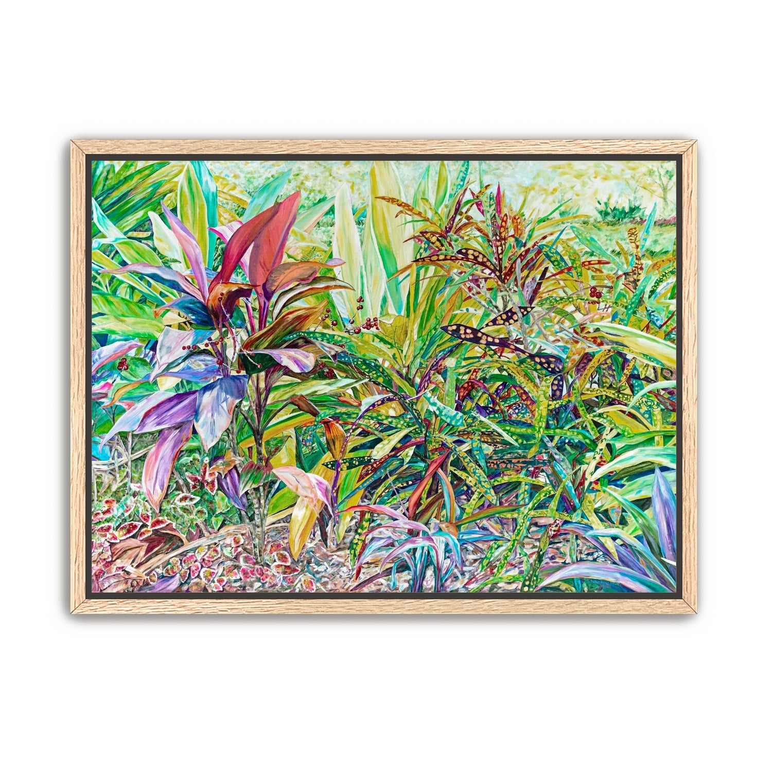 Ti Plant with Crotons