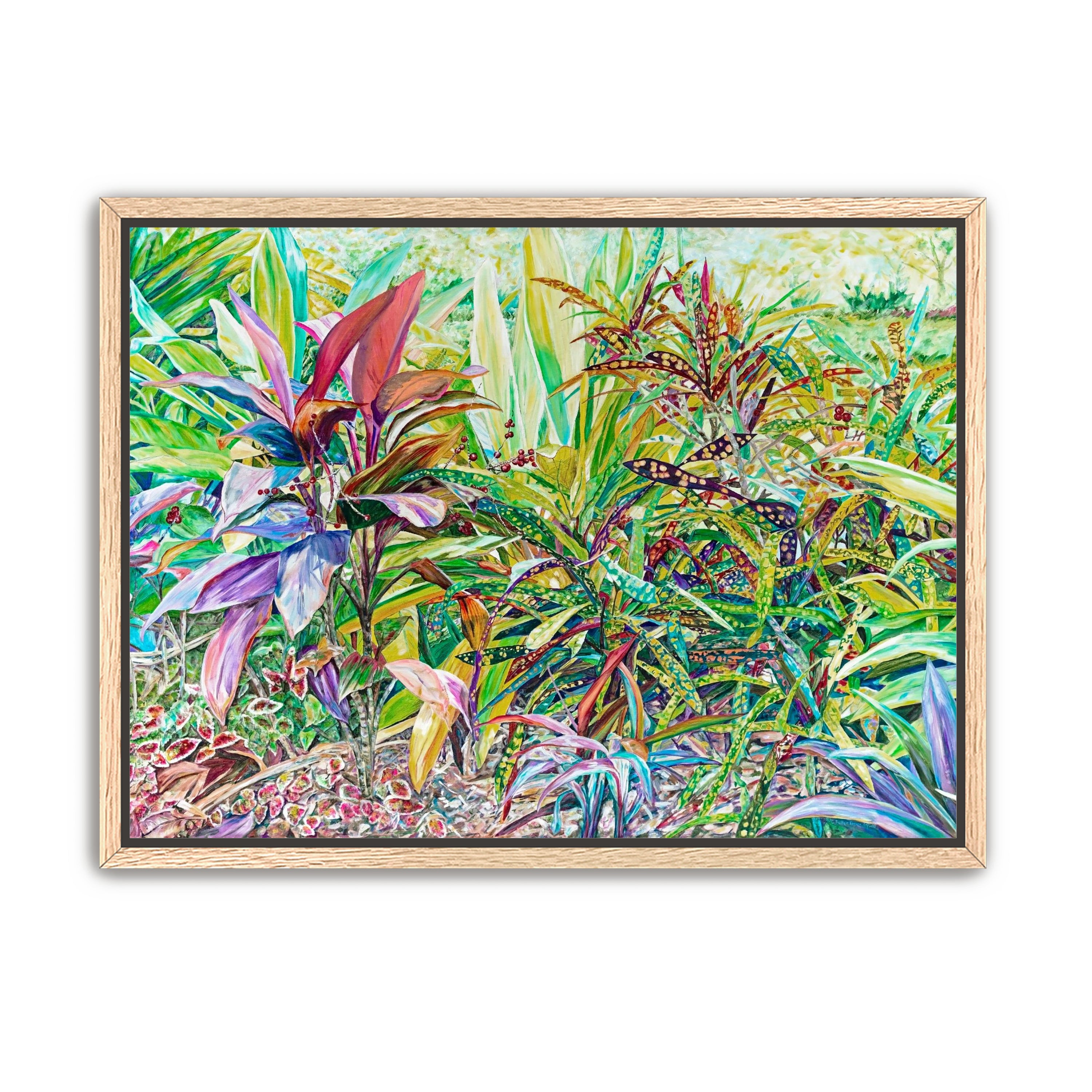 Ti Plant with Crotons