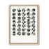 Ari-circulars-series-3
