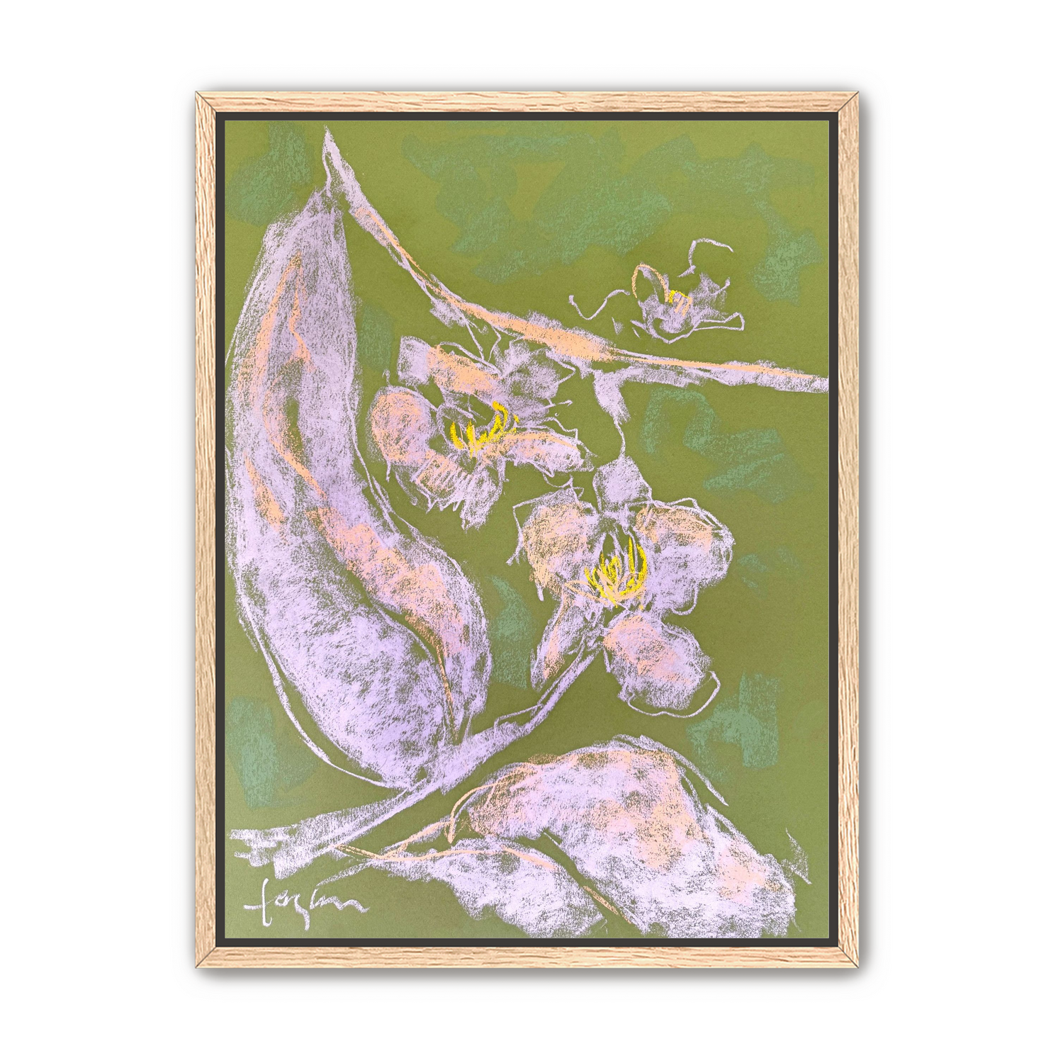 Orchid Sisters III