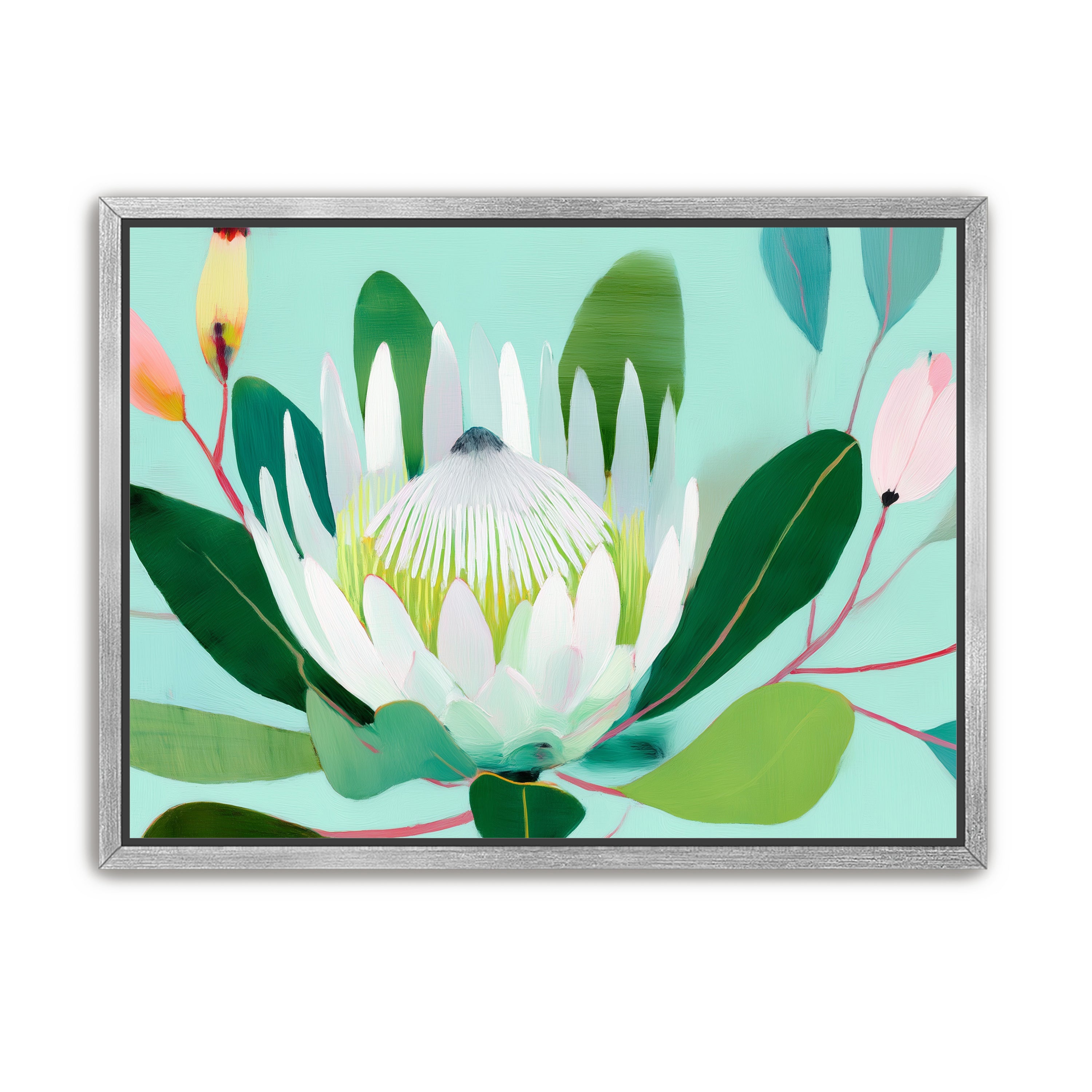 Australian Flora 4