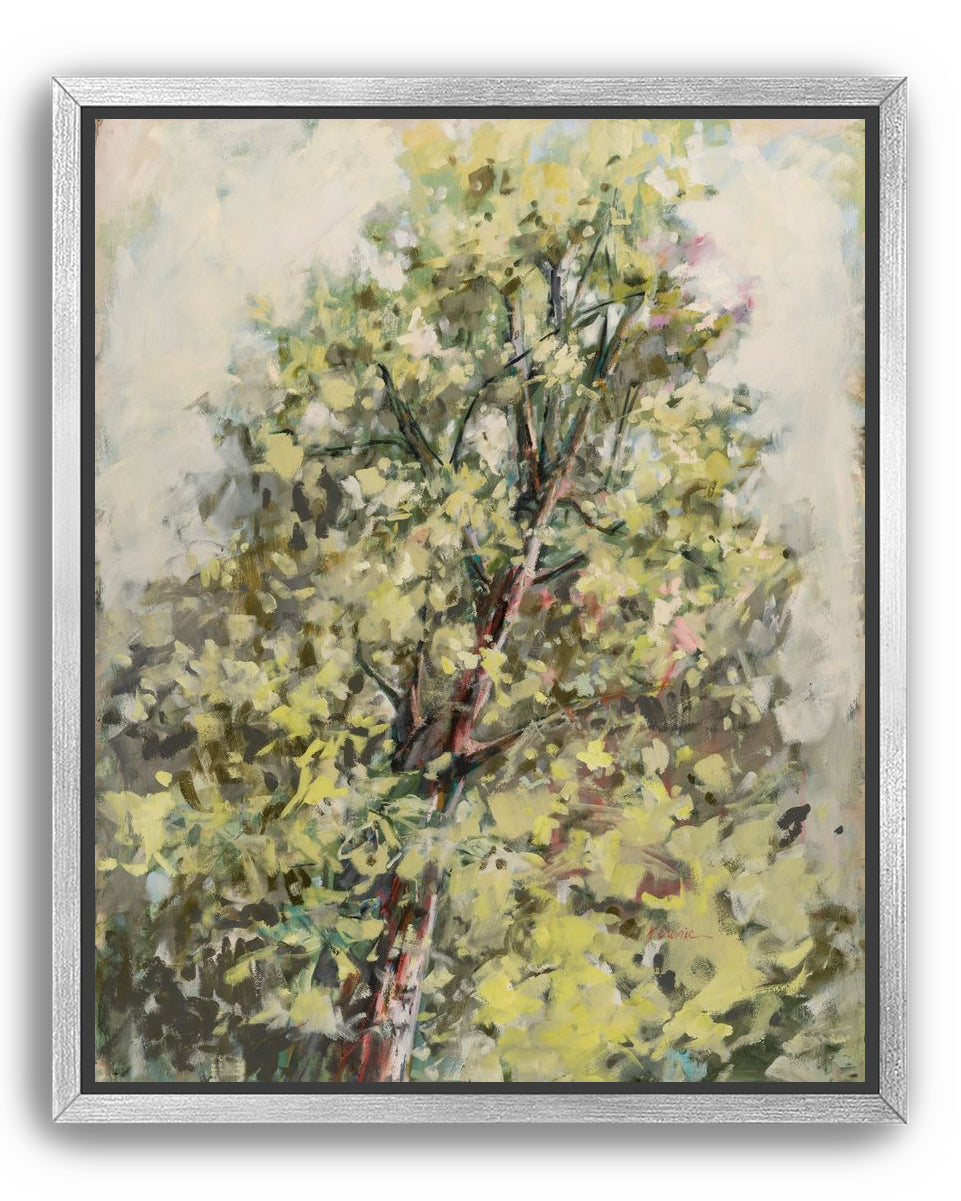 a soft place to land 2