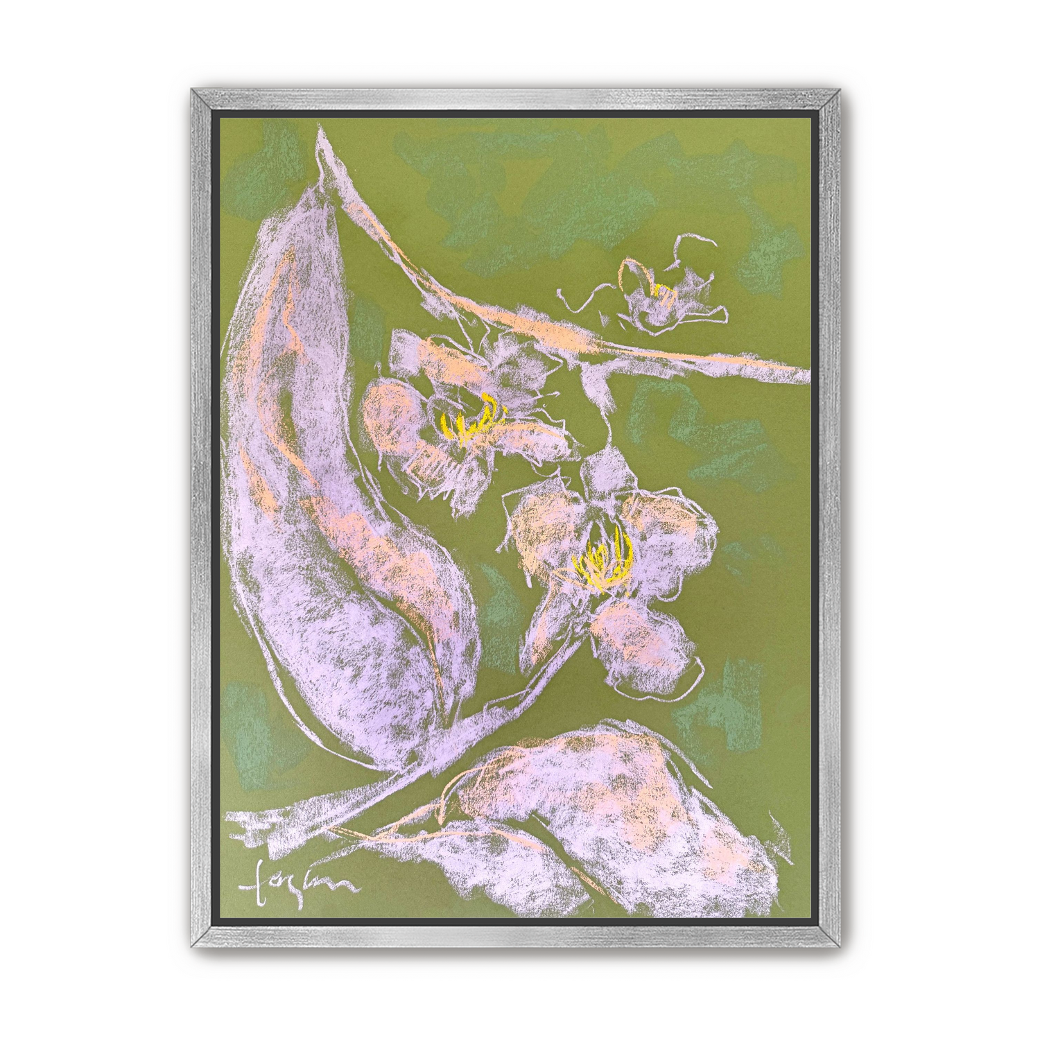 Orchid Sisters III