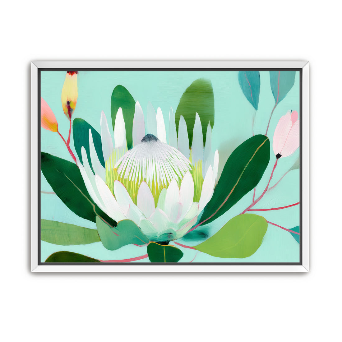 Australian Flora 4