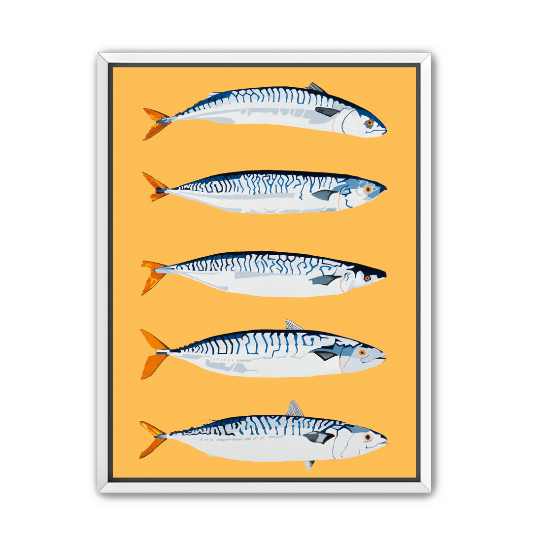 The Freshwater Five