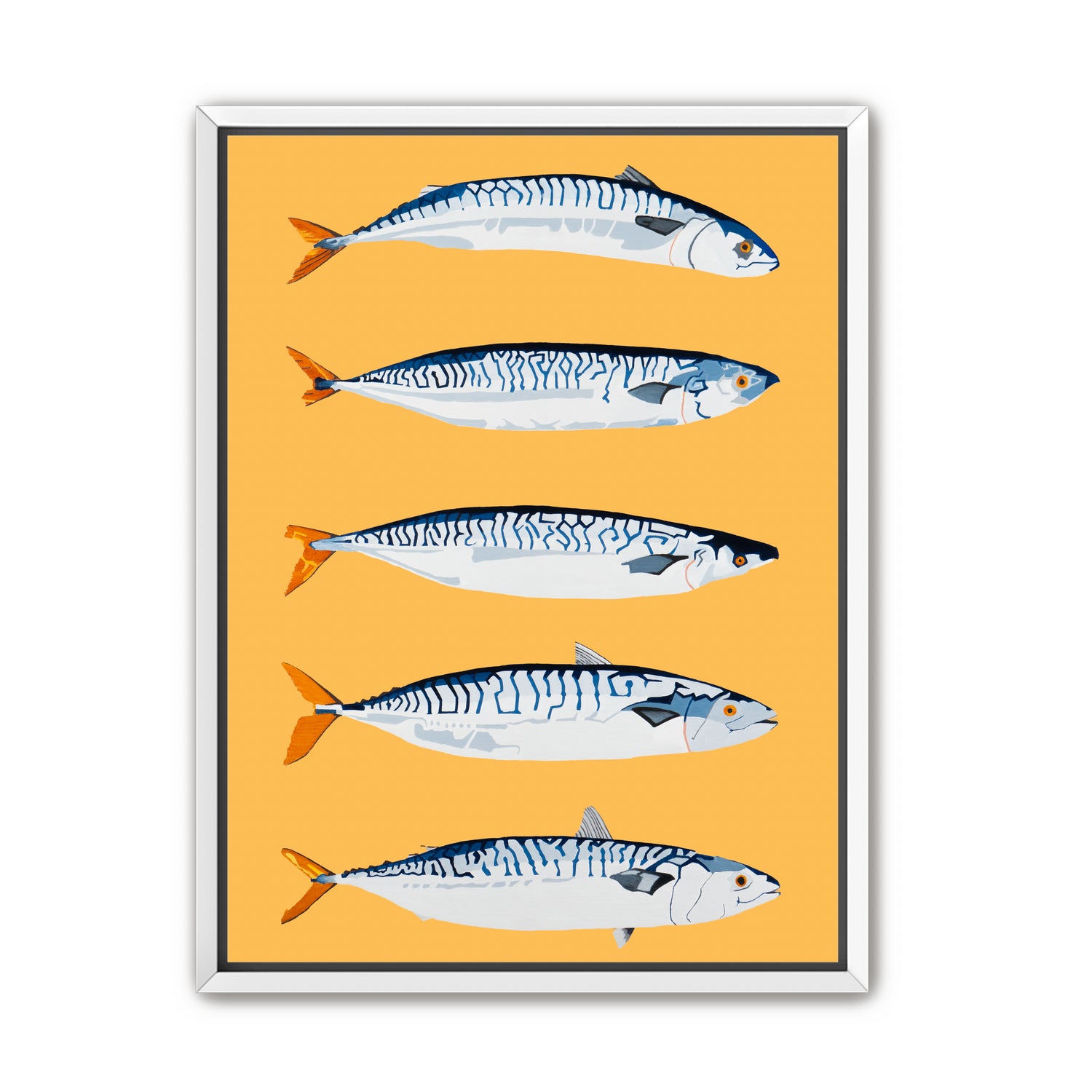 The Freshwater Five