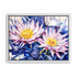 Purple Carpobrotus edulis