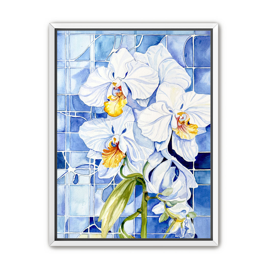 White Orchid – Floral Heritage: Portugal in Bloom