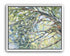 Light Within-Tree Canopy Landscape Oil Painting