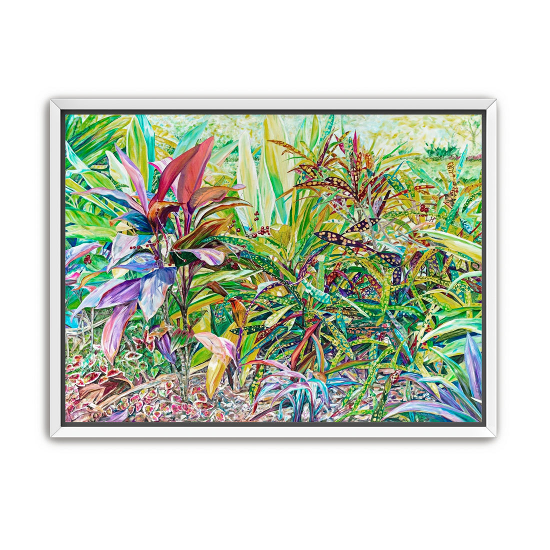 Ti Plant with Crotons