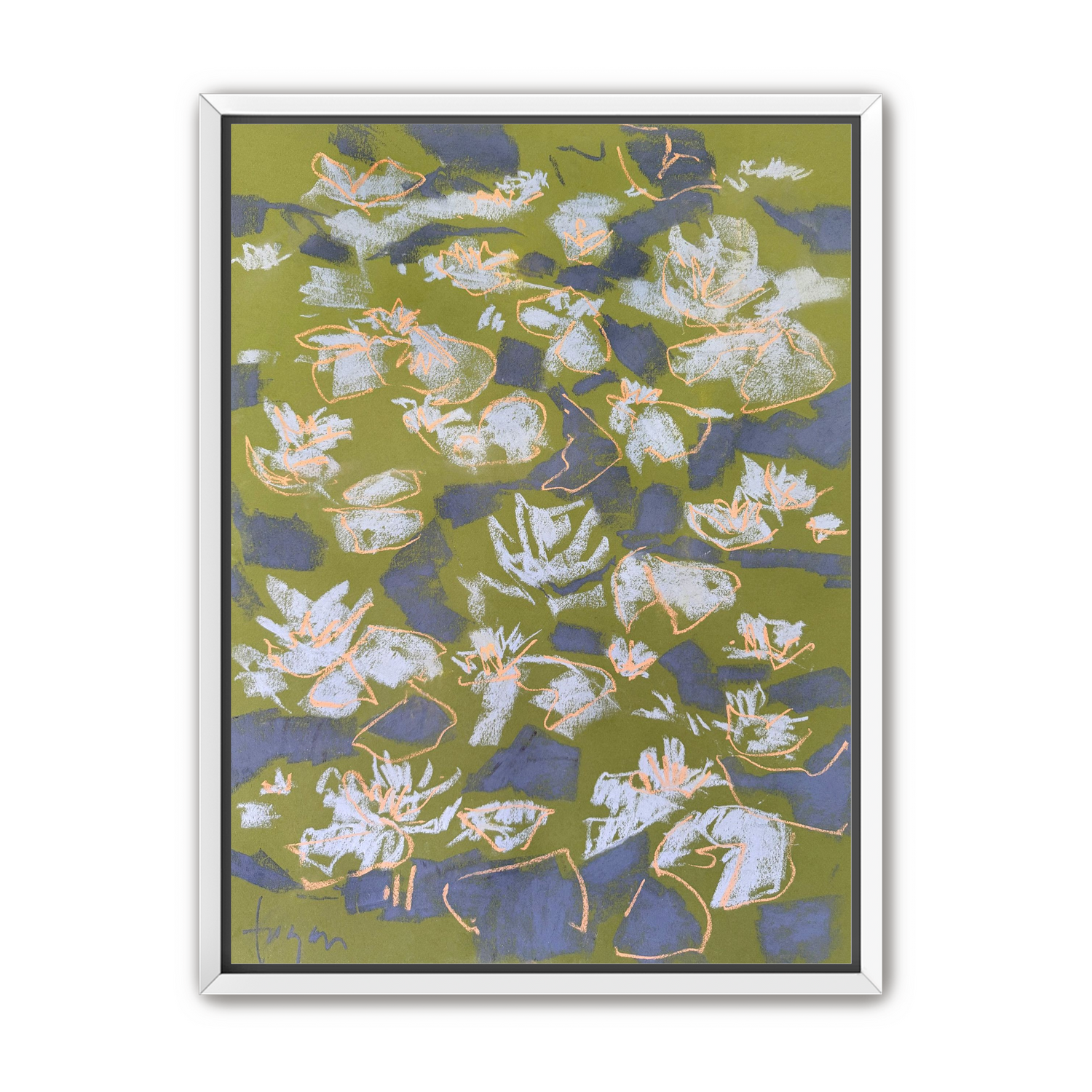 Lily Pond