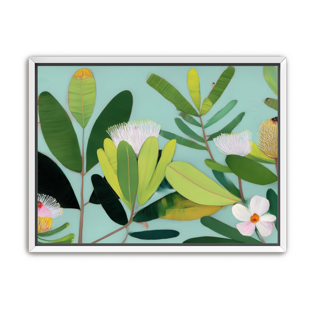 Australian Flora 3