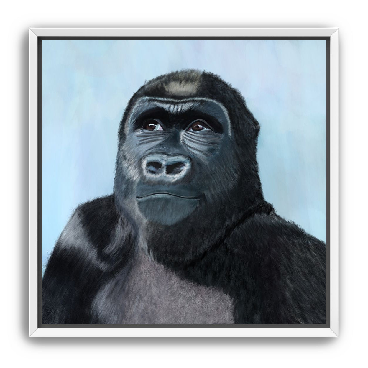 Gorilla