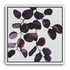 Abstract Eucalyptus 11 by Julie Lynch