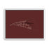 Paper Plane