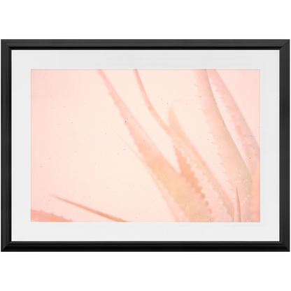 Elegant Imperfections No.1
