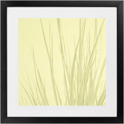 Imperfect Elegance No. 7