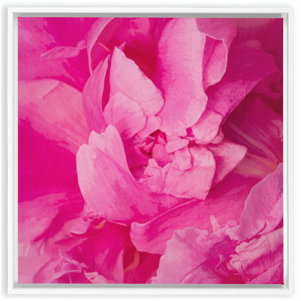 Peony Graphic 1