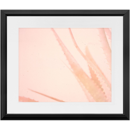 Elegant Imperfections No.1