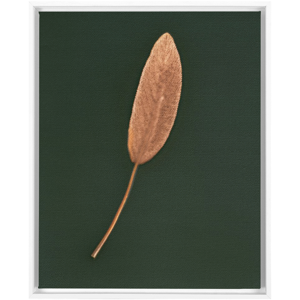 Sage Leaf