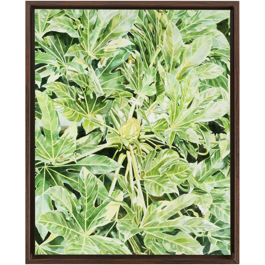 &quot;Japonica&quot;(Variegata)