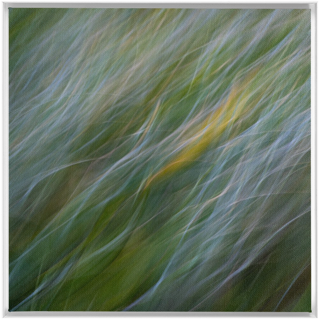 Dune Grass Penstrokes