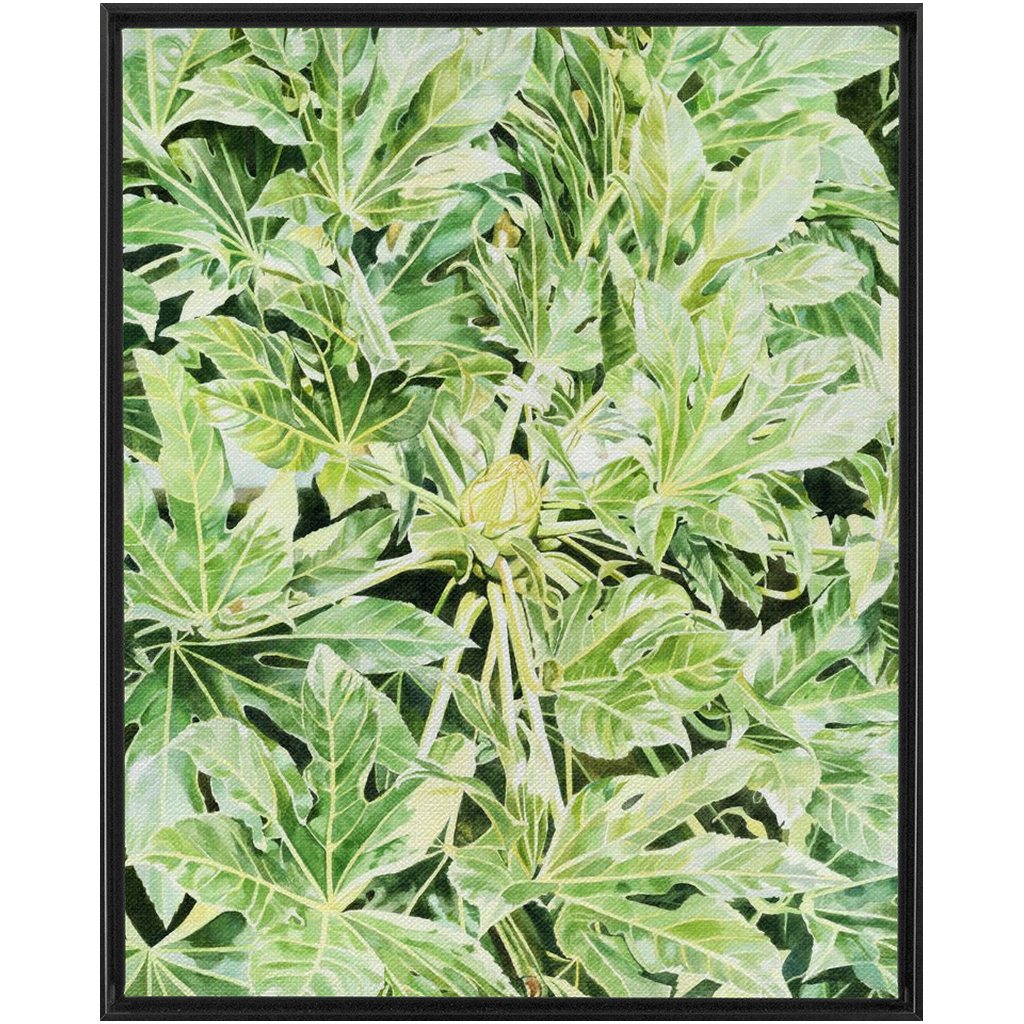 &quot;Japonica&quot;(Variegata)