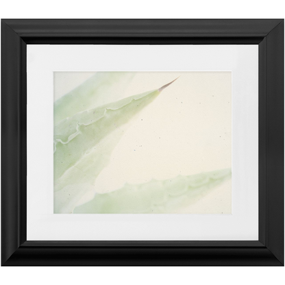 Imperfect Elegance No. 6