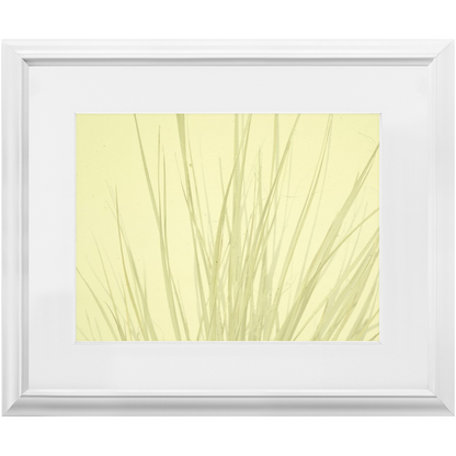 Imperfect Elegance No. 7