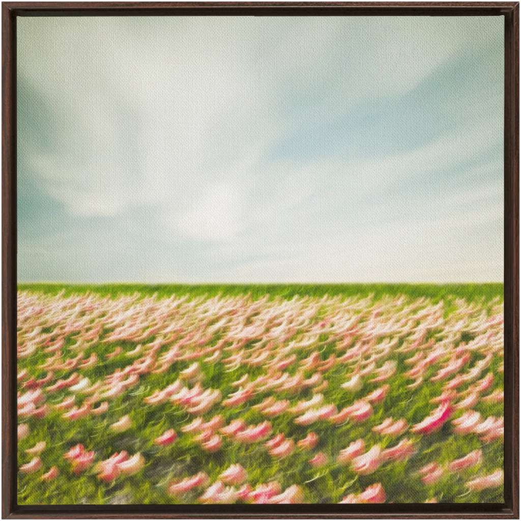 Tulip Field