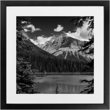 Lake, Trees &amp; Mountains