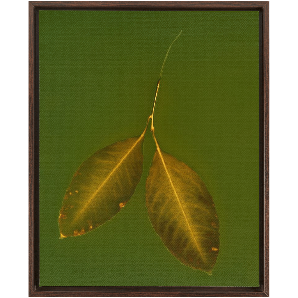 Lemon Leaves