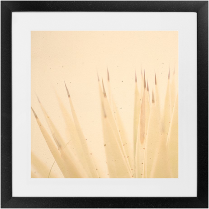 Imperfect Elegance No.4