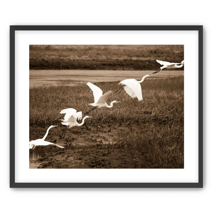 In Flight