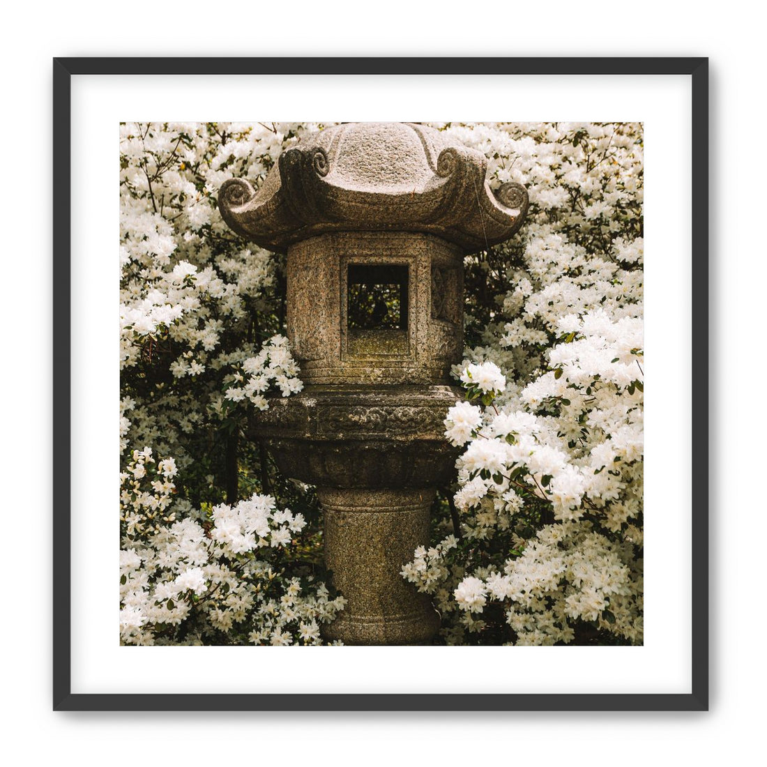 Temple of White Flowers