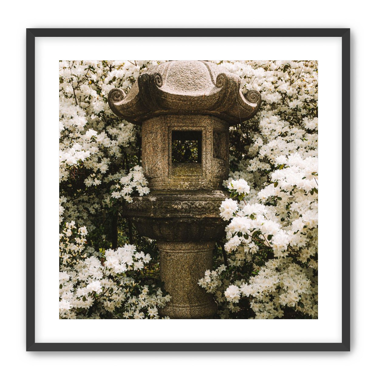 Temple of White Flowers