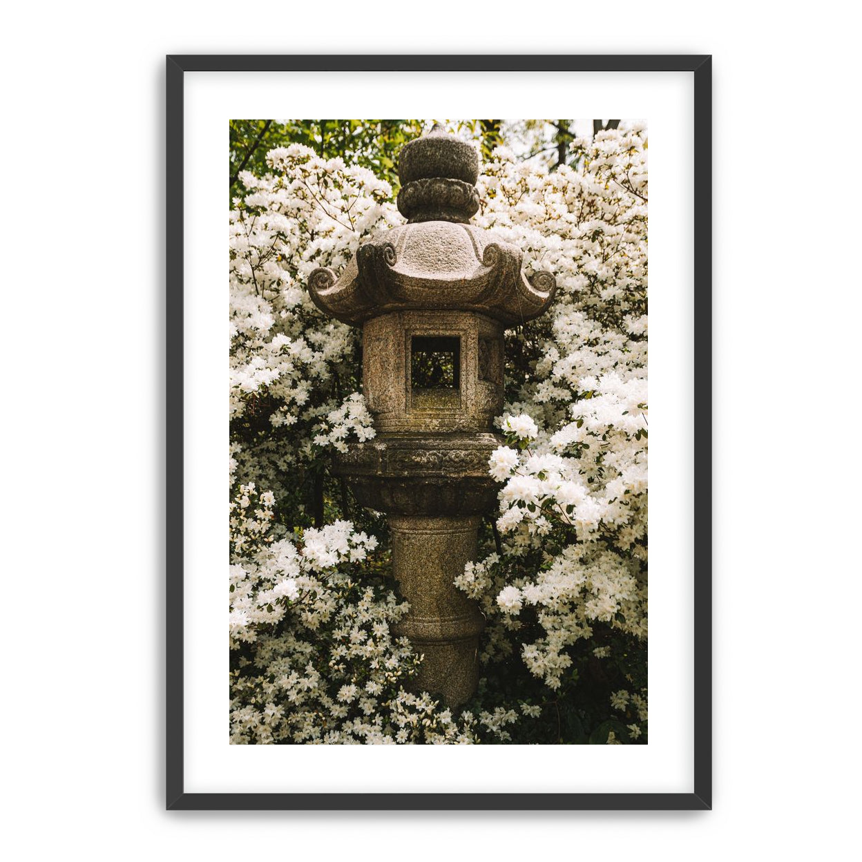 Temple of White Flowers