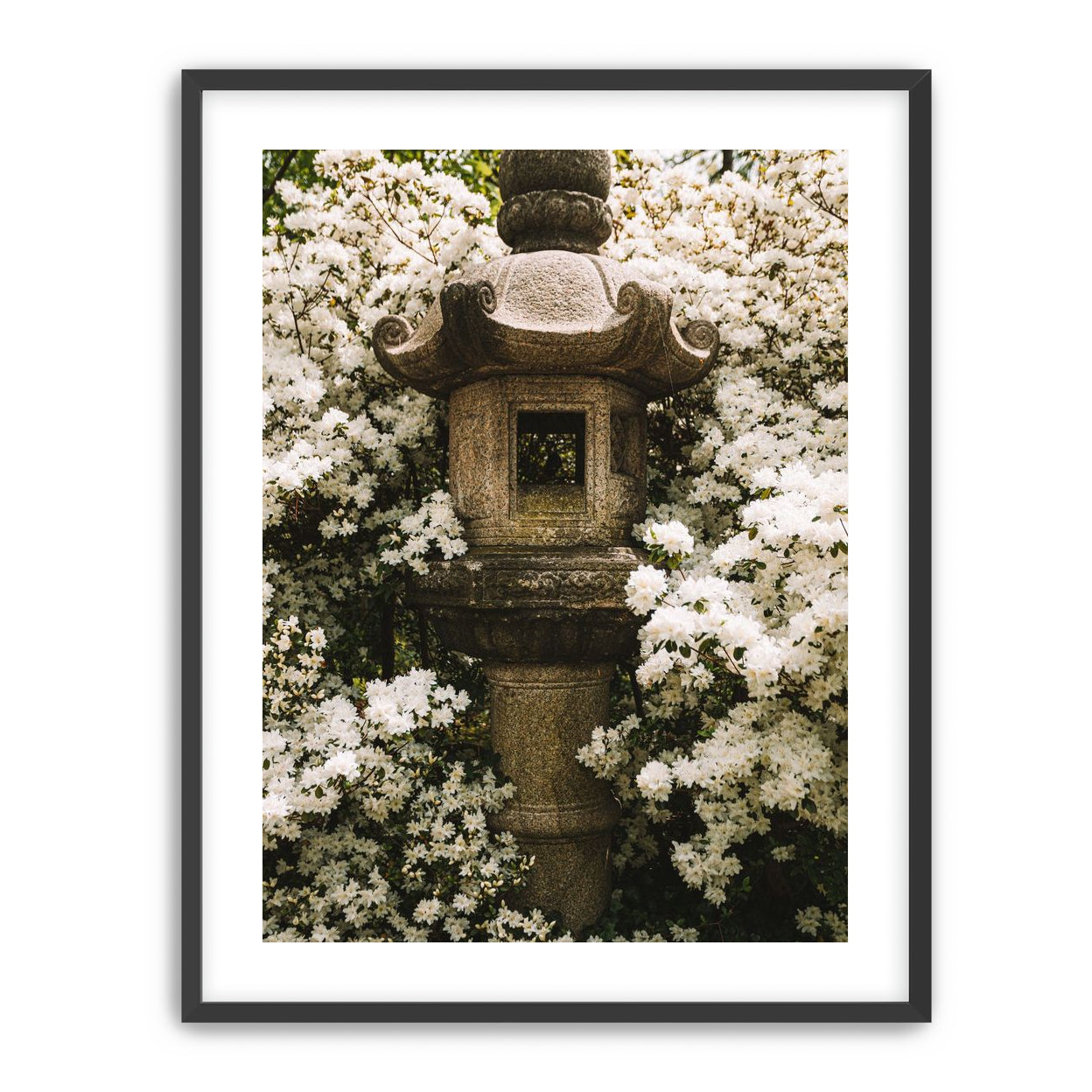 Temple of White Flowers