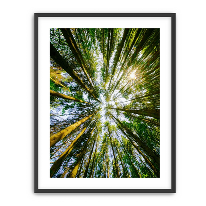 Reaching for the sun