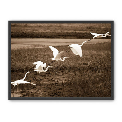 In Flight