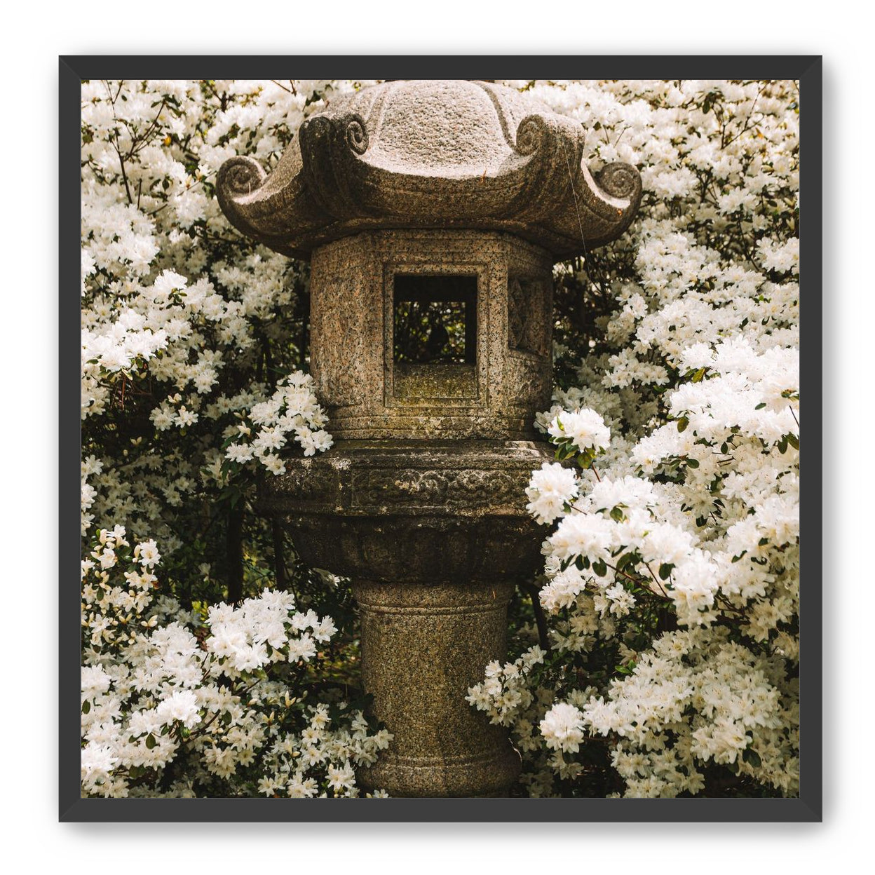 Temple of White Flowers