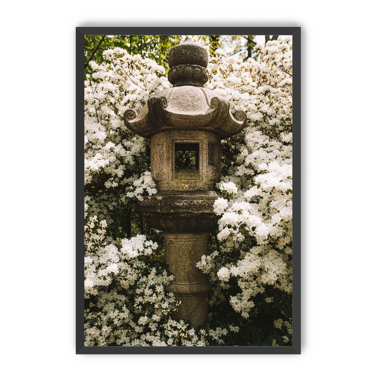 Temple of White Flowers