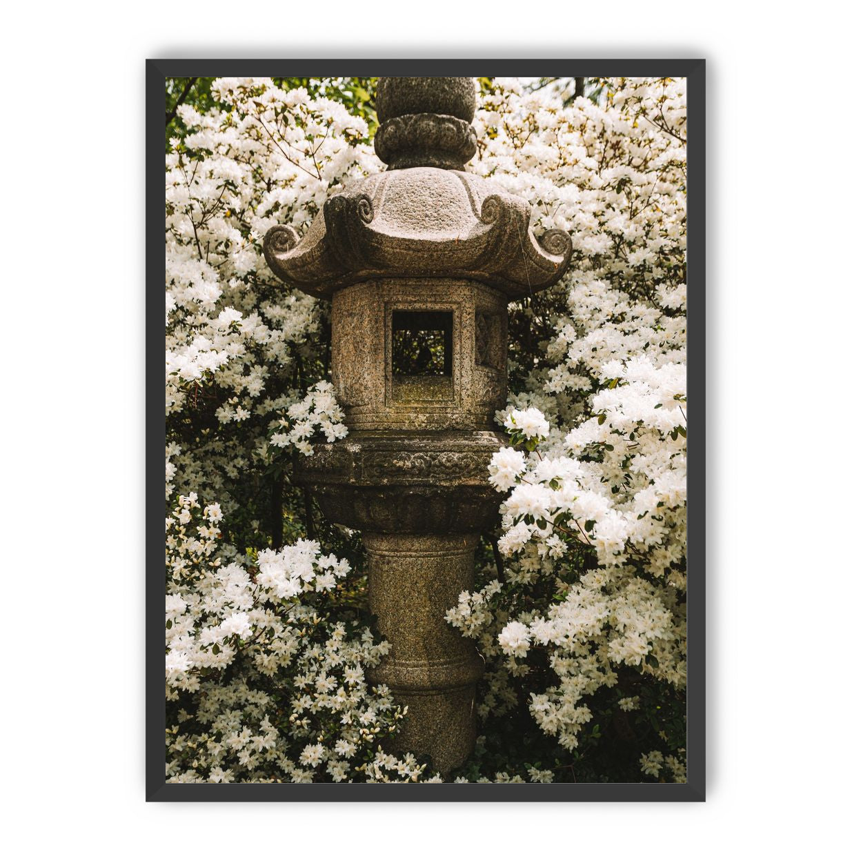 Temple of White Flowers