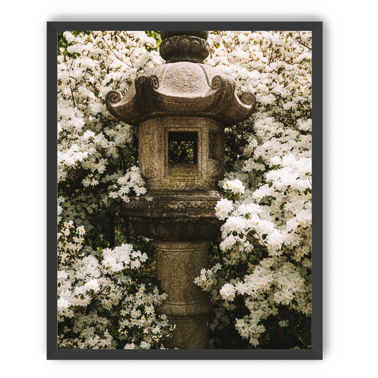 Temple of White Flowers