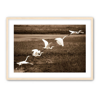 In Flight