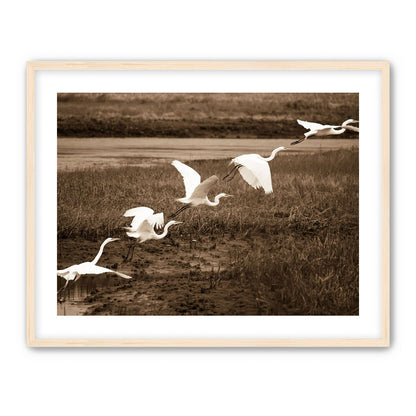 In Flight