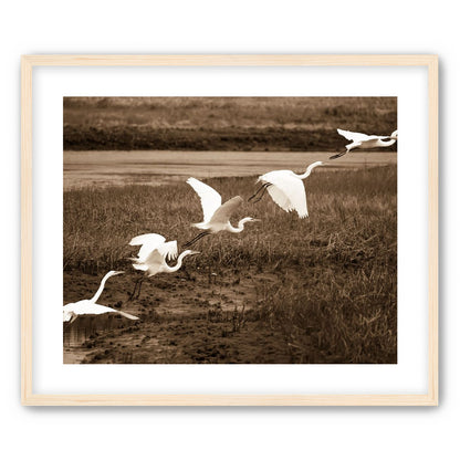 In Flight