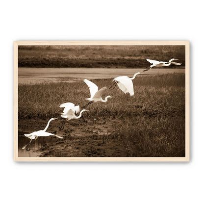 In Flight