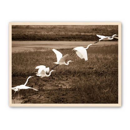 In Flight